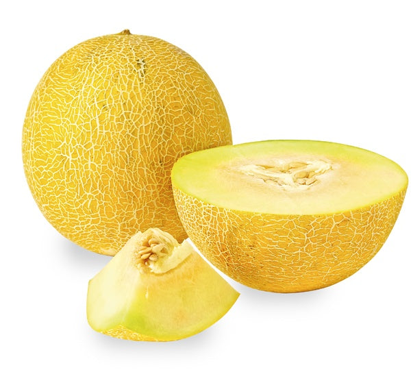 Melon Galia