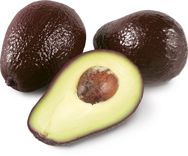 Avocado Hass